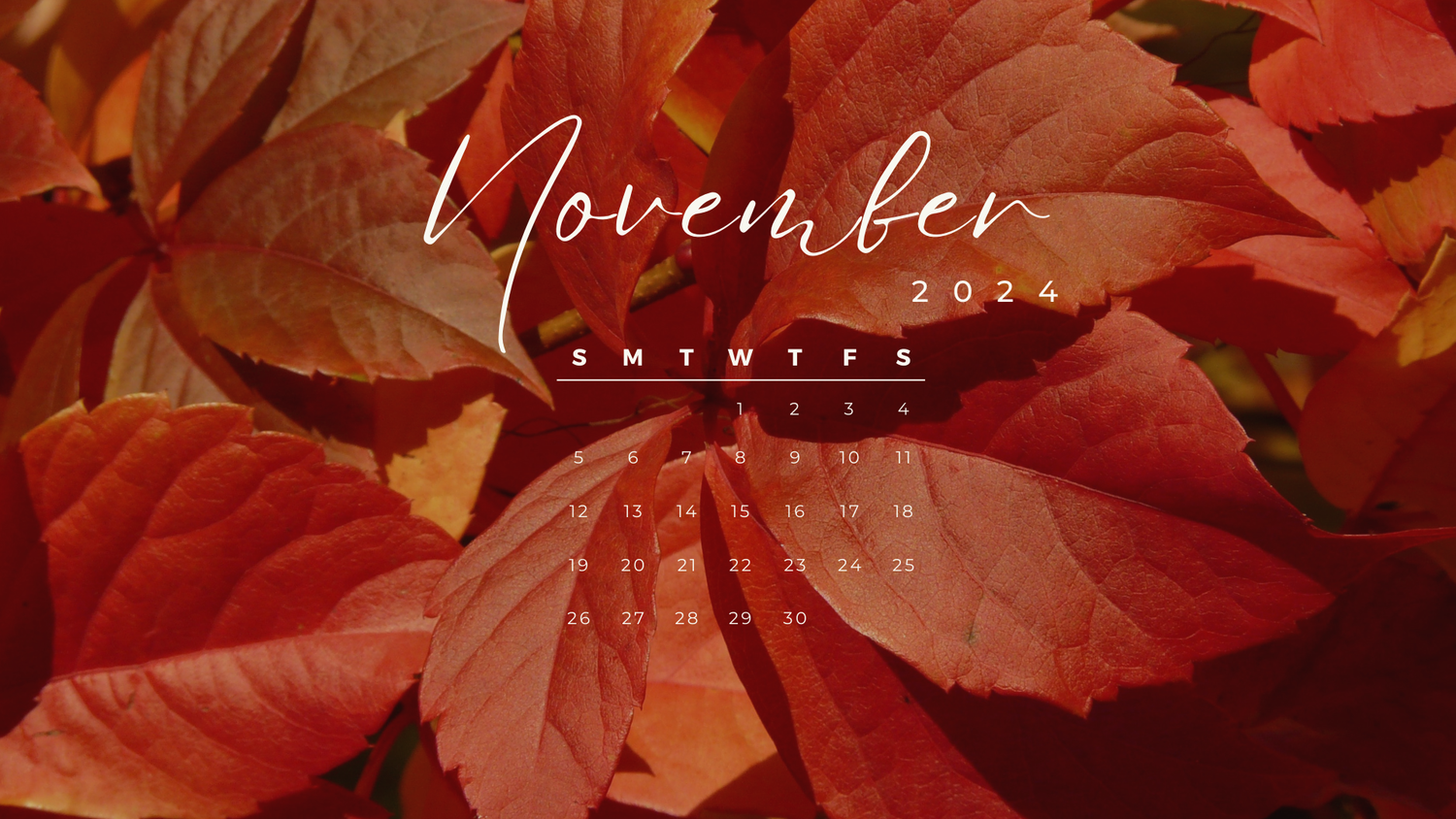 NOVEMBER